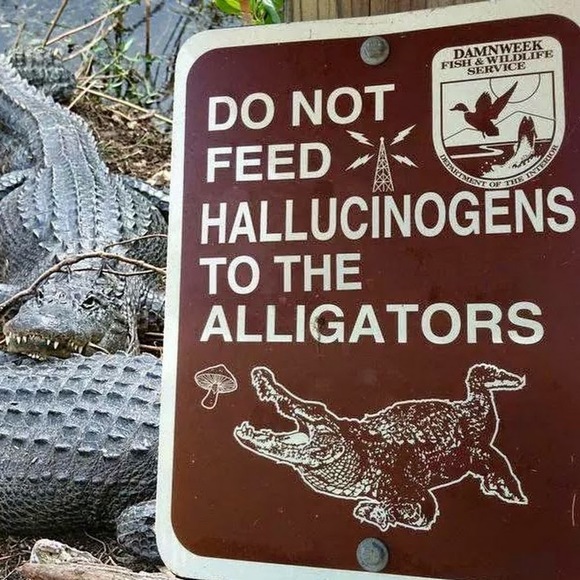 Meet your Posher, Eric - Picture 1 of 1